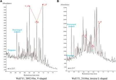 Geochemical Characteristics and Organic Matter Provenance of Shale in the Jurassic Da’anzhai Member, Northeastern Sichuan Basin